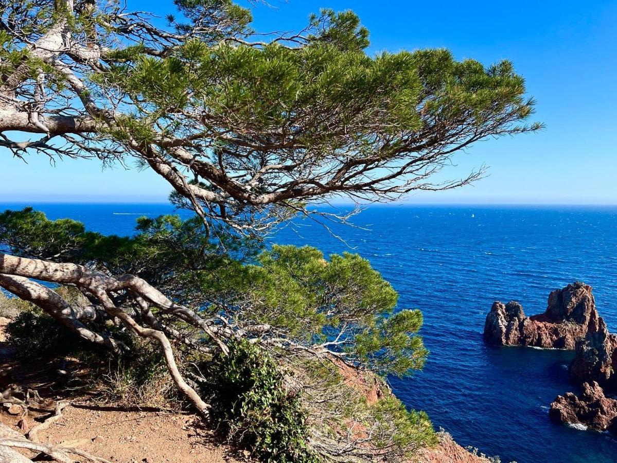 Les Cactus Frejus Plage Exterior photo