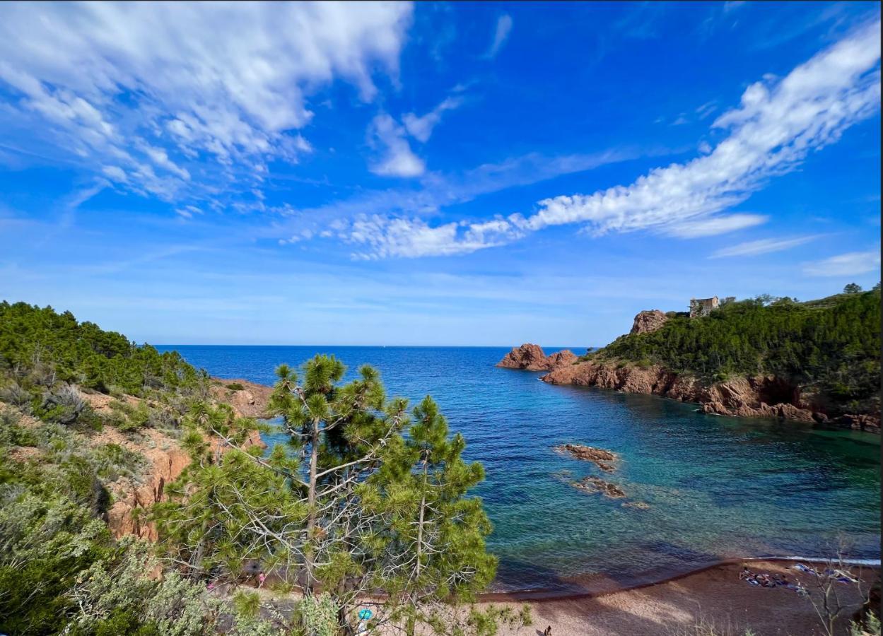 Les Cactus Frejus Plage Exterior photo